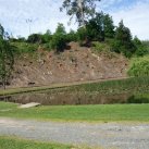 Felling gum trees 4. Cambridge Tree Trust